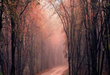 河南建业告捷，客场力克武汉卓尔，稳步向前迈进