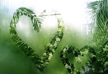 河南建业告捷,客场力克武汉卓尔,稳步向前迈进